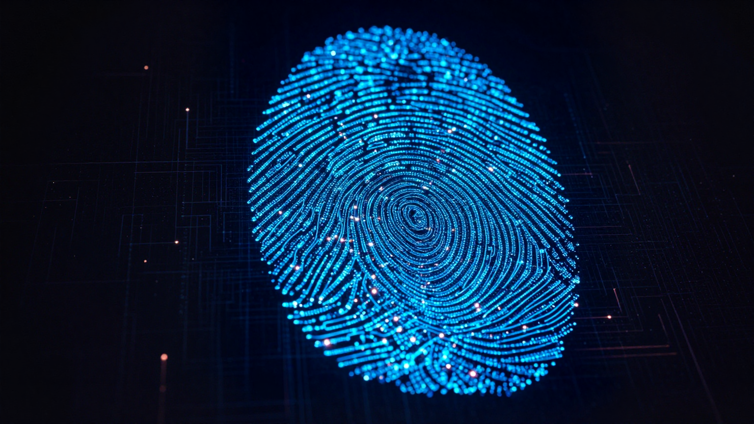 A fingerprint rendered in circuit traces
